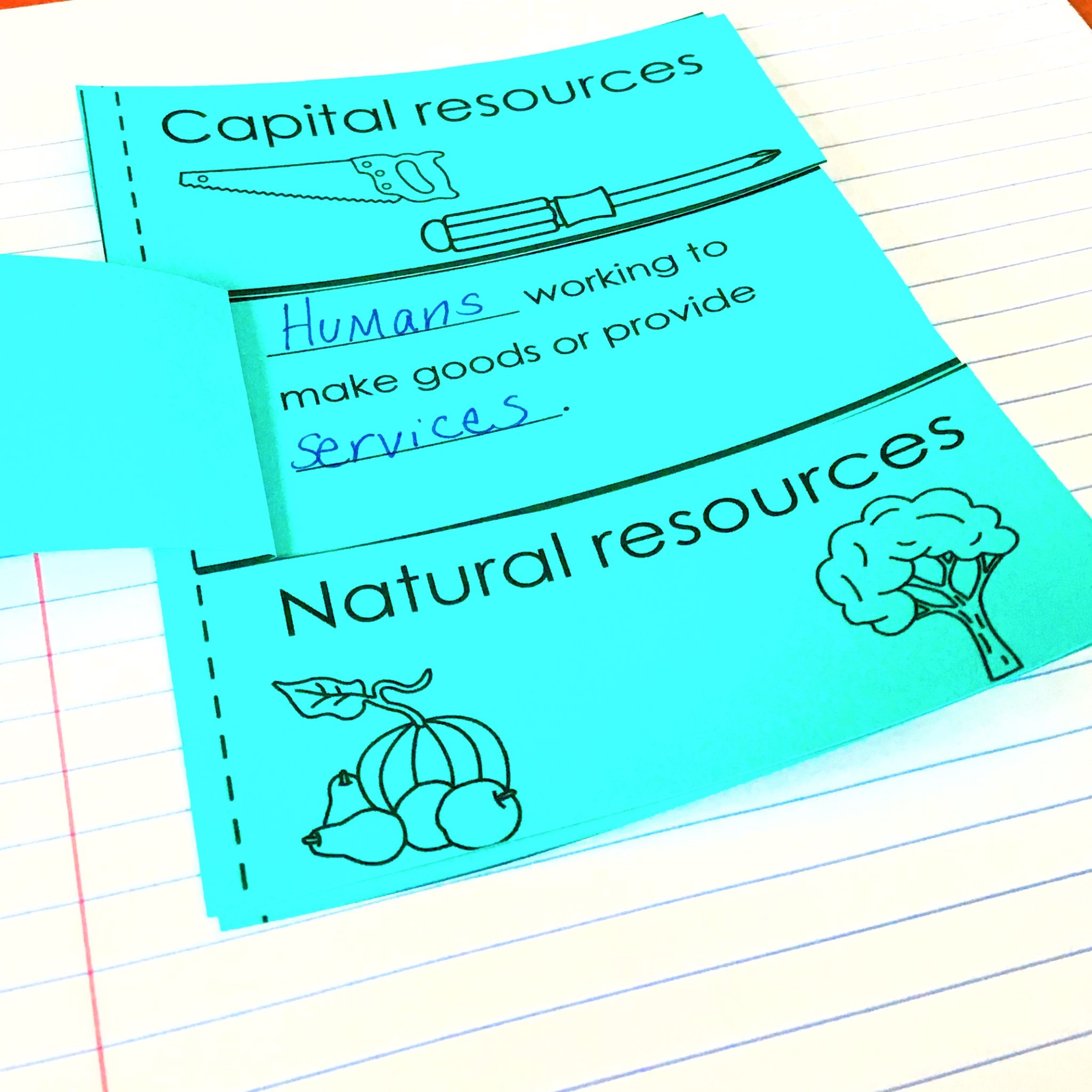 3rd grade Economics Activities You'll LOVE - Glitter in Third