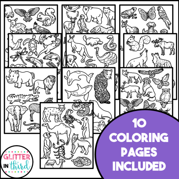 animals coloring pages