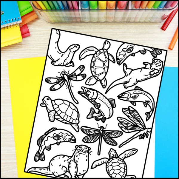 animals coloring pages