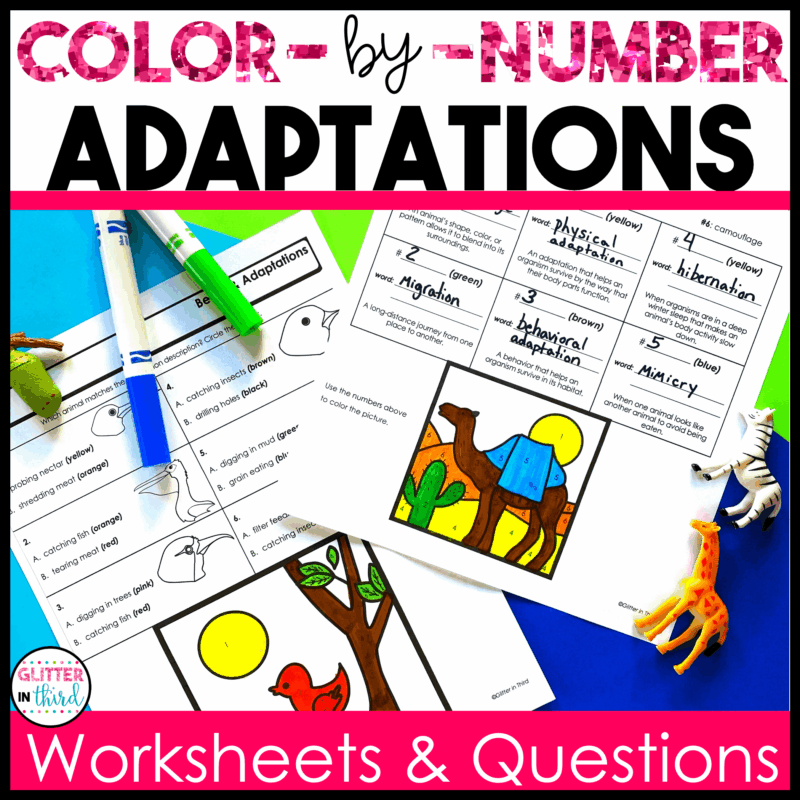 3rd grade science sol adaptations