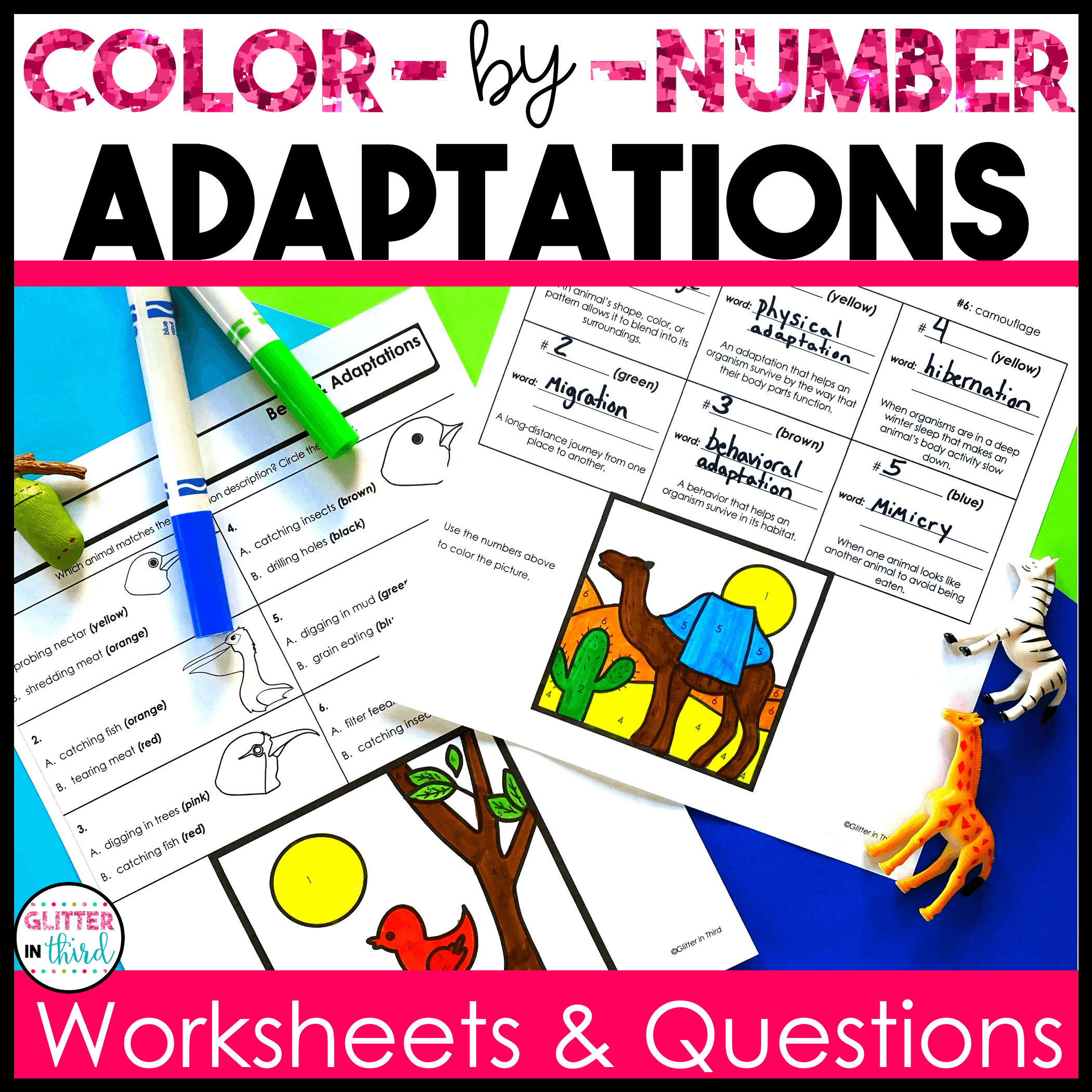 3rd grade science sol adaptations