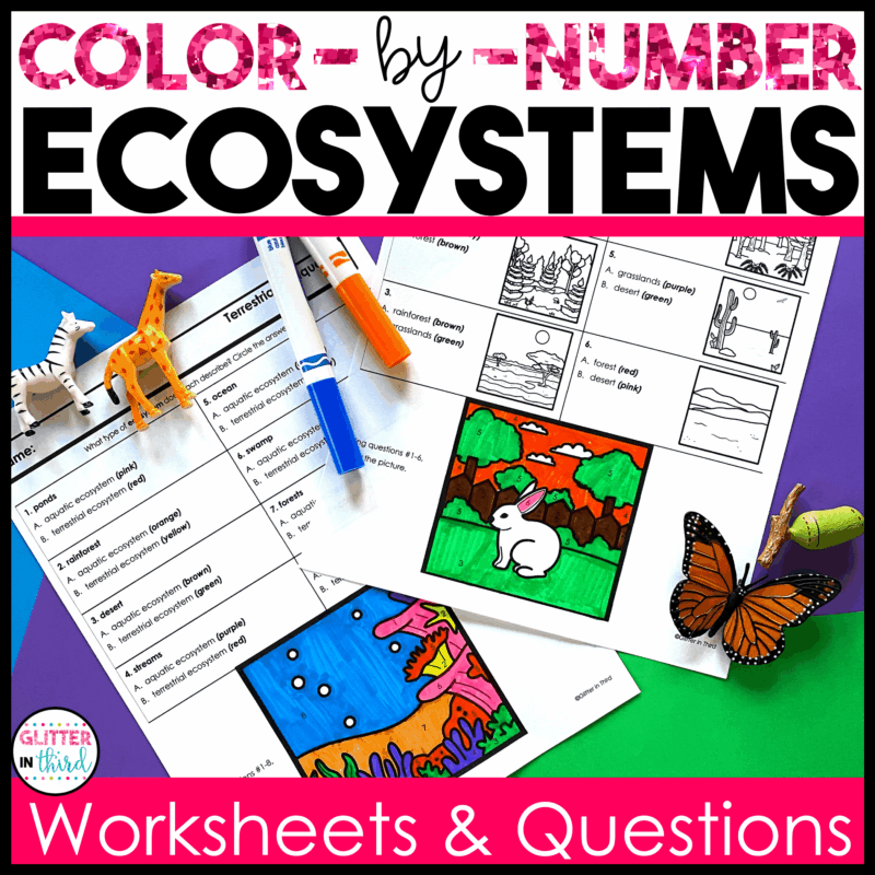 3rd grade science sol ecosystems