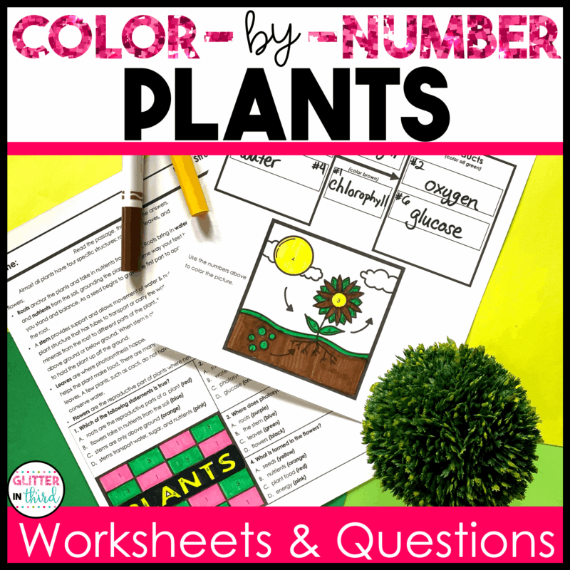 4th grade science sol plants