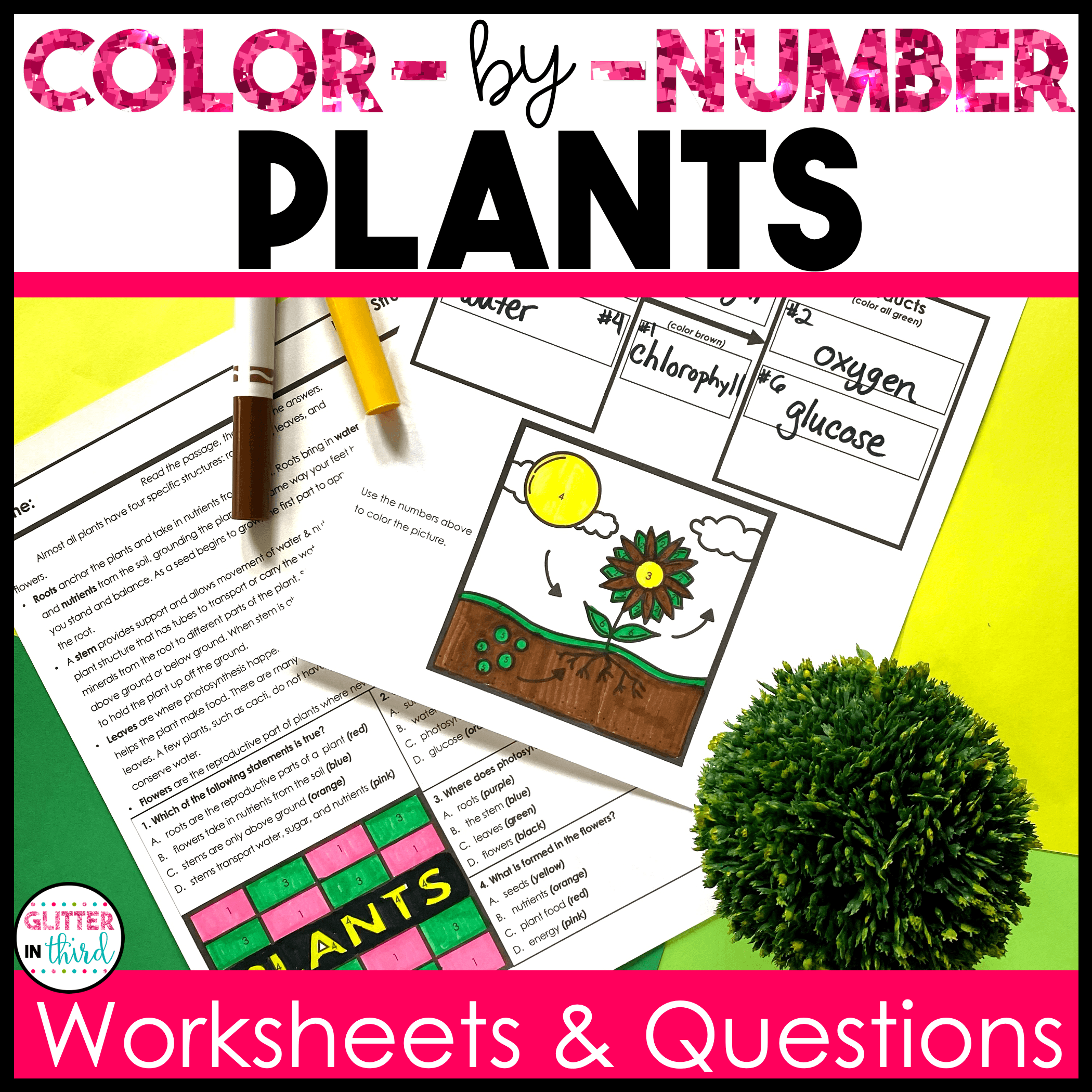 4th grade science sol plants
