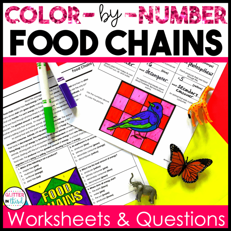 3rd grade science sol food chains