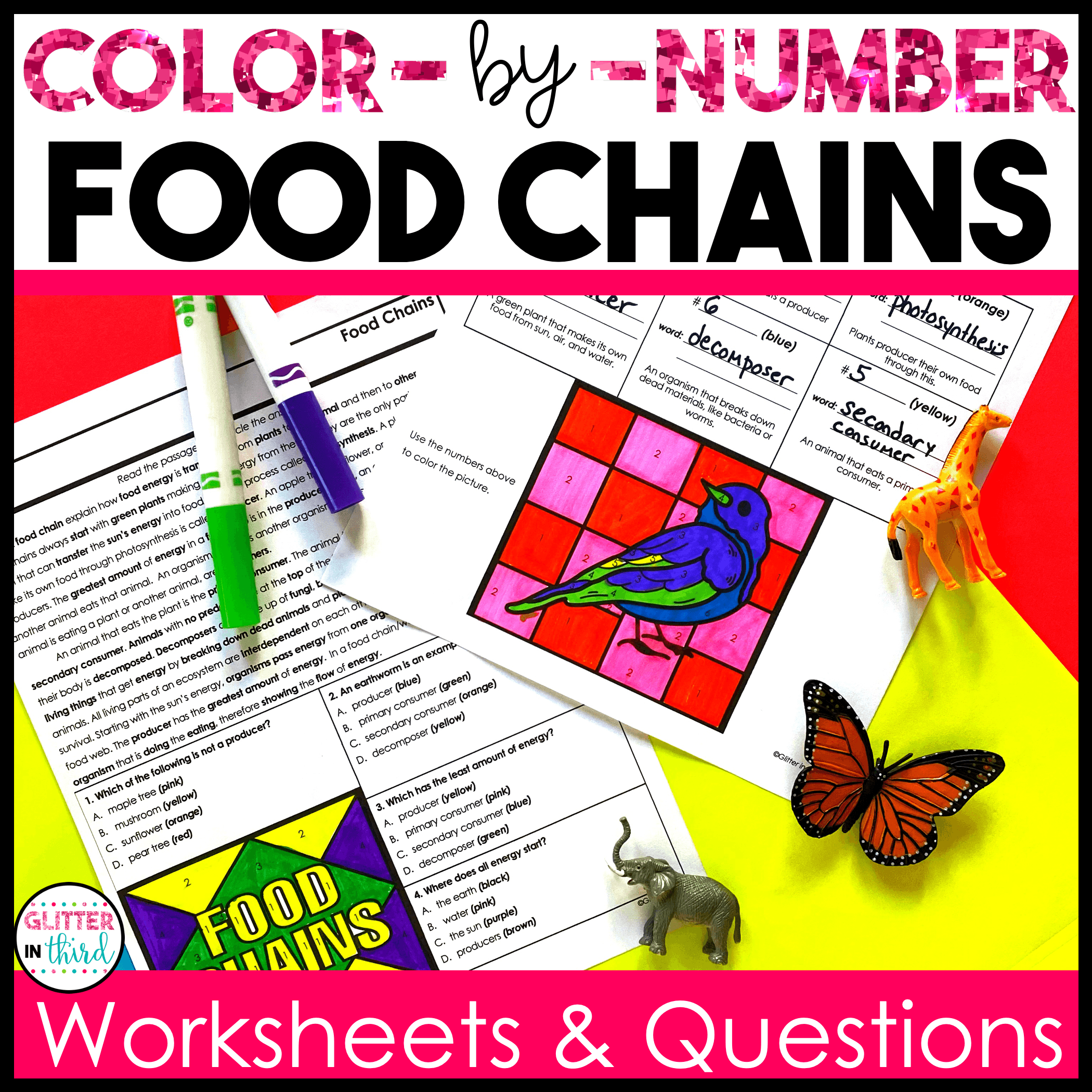 3rd grade science sol food chains