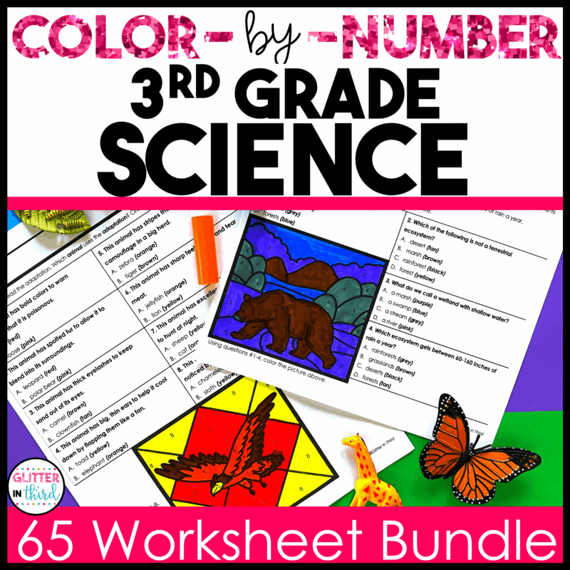 3rd grade science sol worksheets