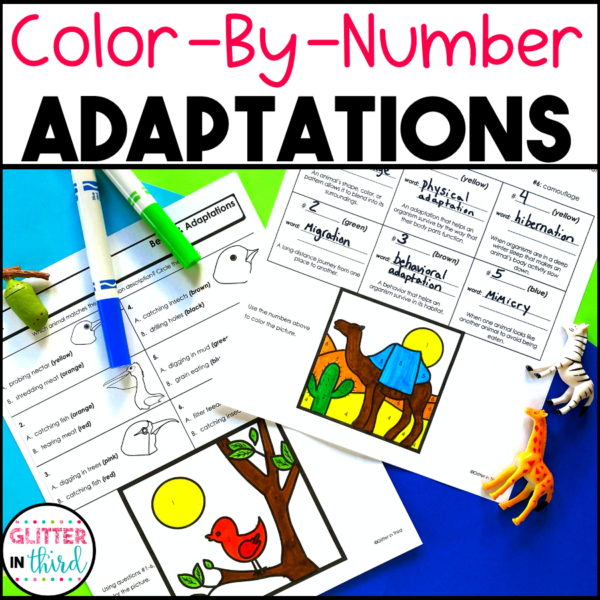 adaptations worksheet