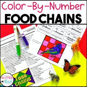 food chains worksheets