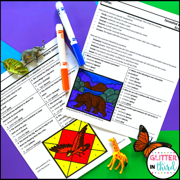 animal habitats ecosystems worksheets