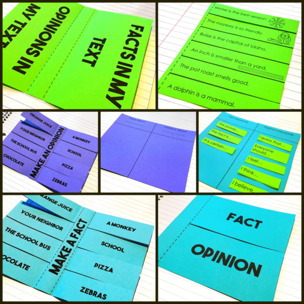 Fact & Opinion Activities for an Interactive Notebook