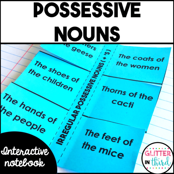 Possessive Nouns Grammar Interactive Notebook Activities