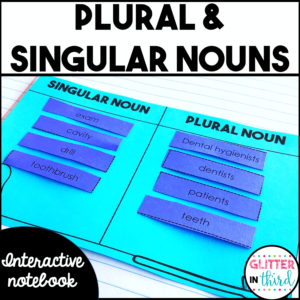 Singular and Plural Nouns Grammar Interactive Notebook Activities