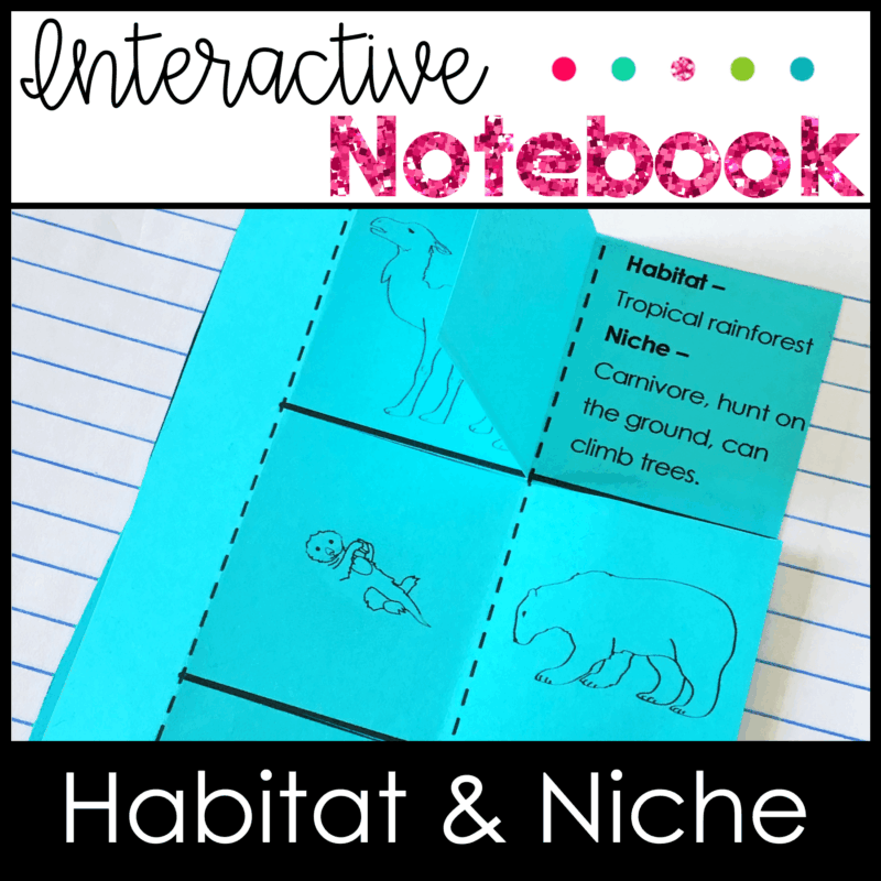 habitat niche 4th grade science sol