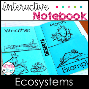 3rd grade science sol ecosystems