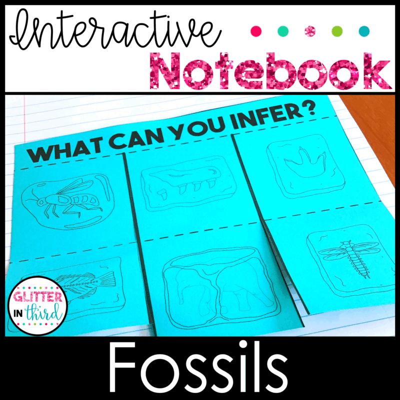 3rd grade science sol fossils