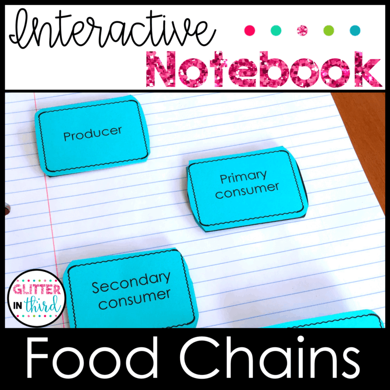 4th grade science sol food chains