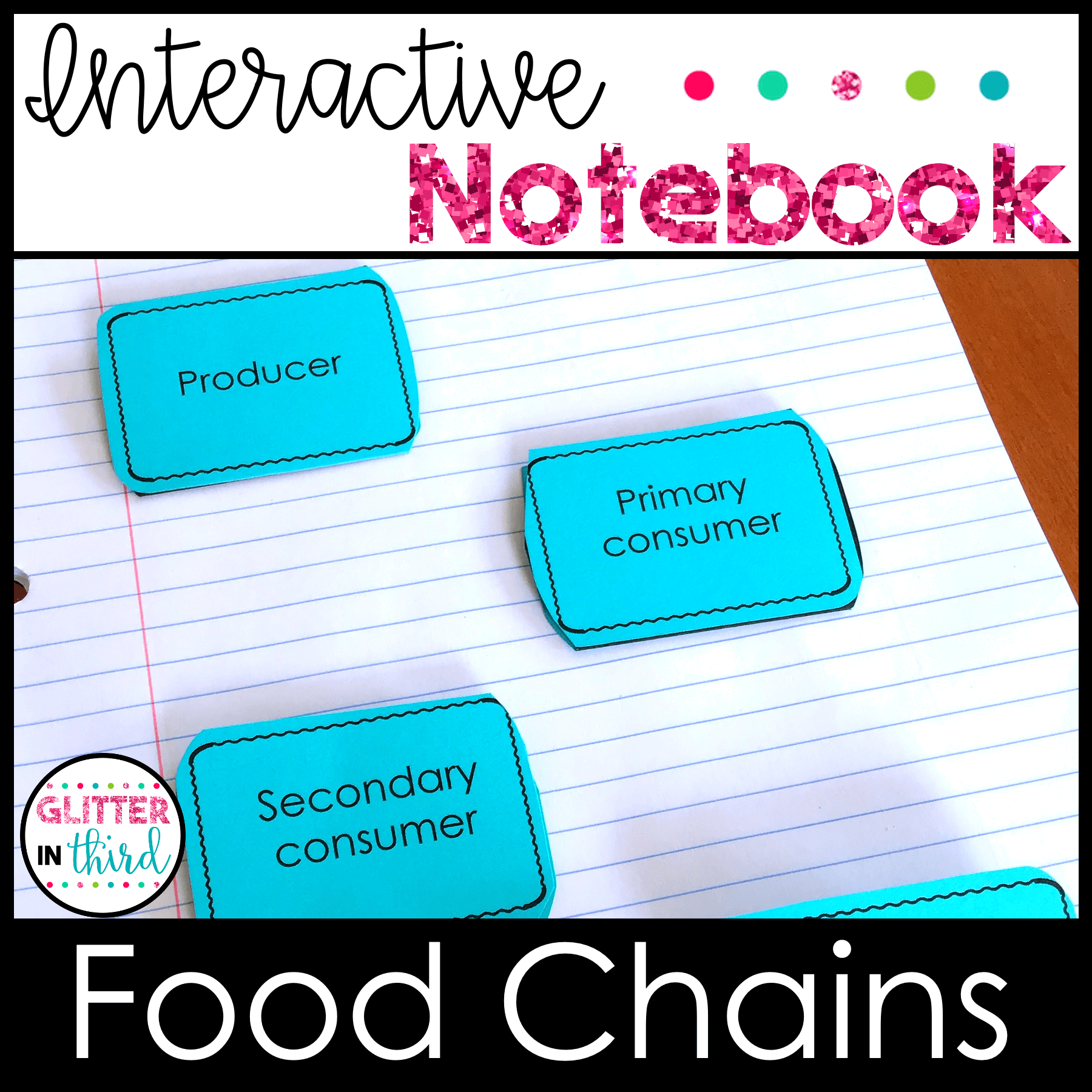 4th grade science sol food chains
