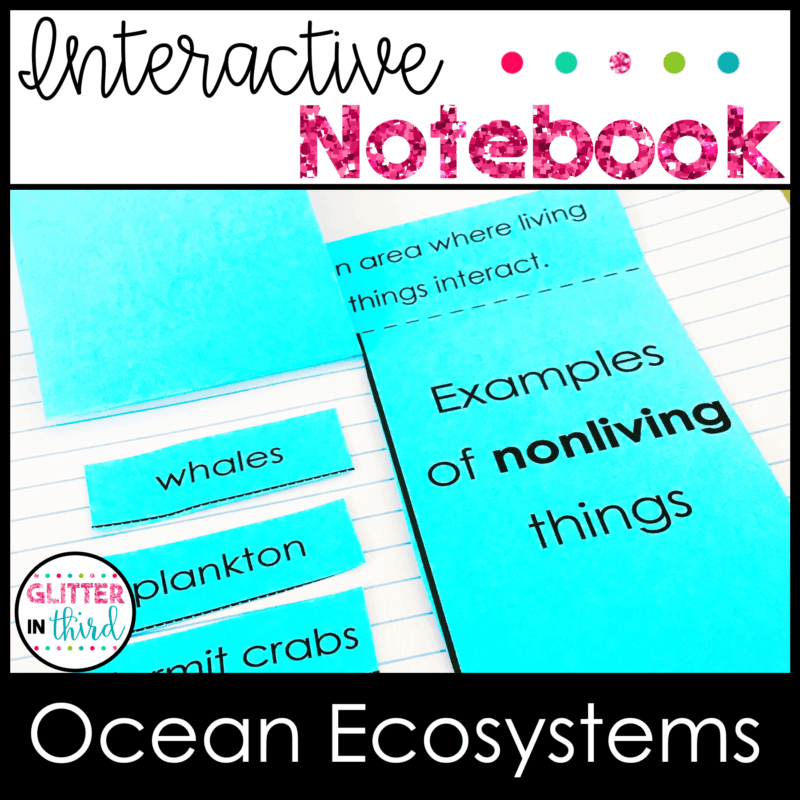 4th grade science sol ocean ecosystems