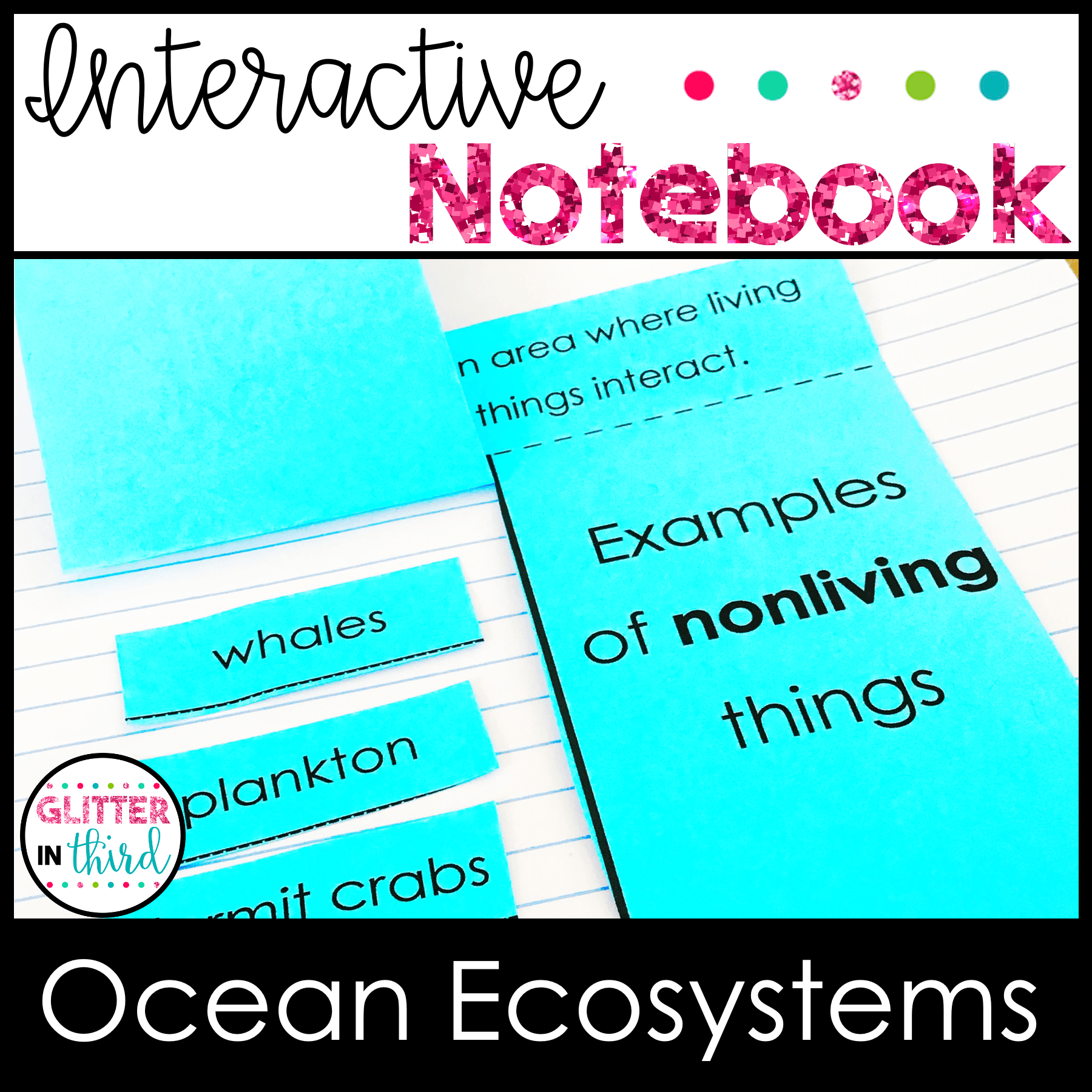 4th grade science sol ocean ecosystems