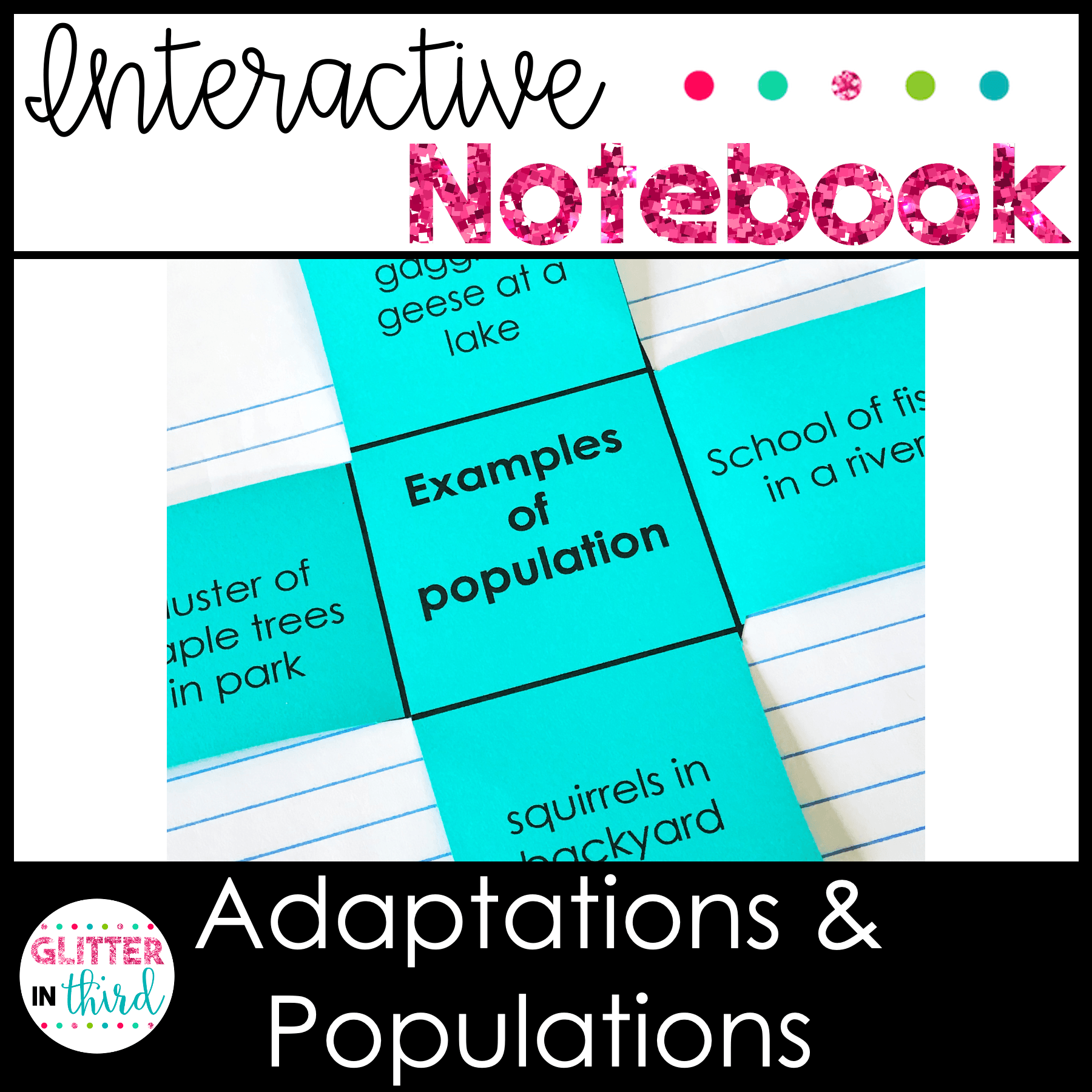 3rd grade science sol adaptations populations