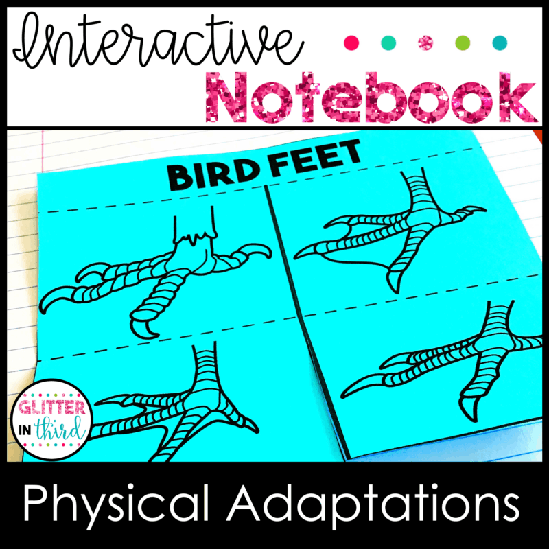 3rd grade science sol physical adaptations