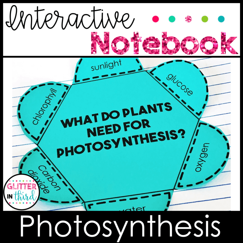4th grade science sol photosynthesis