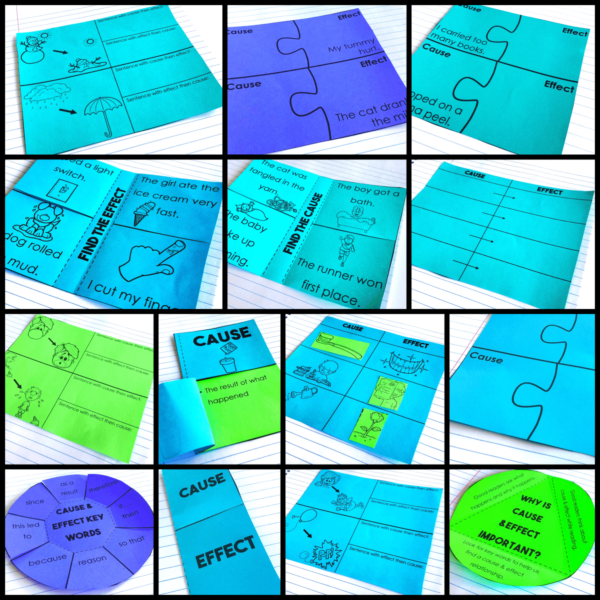 Cause and Effect Reading Interactive Notebook Activities