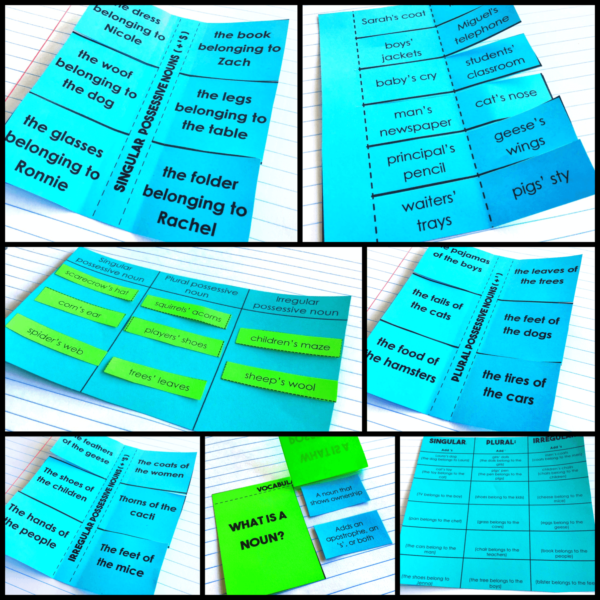 Possessive Nouns Grammar Interactive Notebook Activities