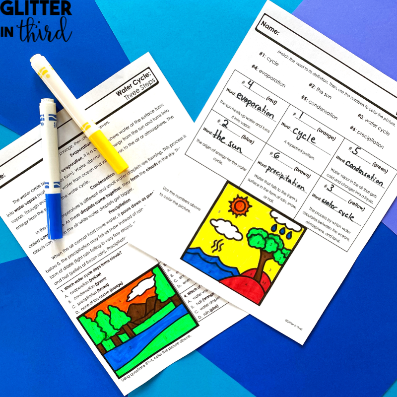 the water cycle worksheet