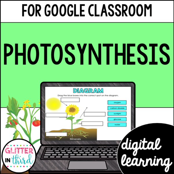 Photosynthesis Activities & Reading Passages for Google Classroom