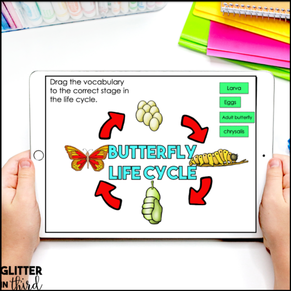 Animal Life Cycles Activities & Reading Passages for Google Classroom