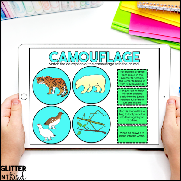 2nd Grade Weather and Seasonal Changes Activities & Reading Passages for Google Classroom