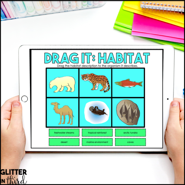 2nd Grade Habitats Activities & Reading Passages for Google Classroom