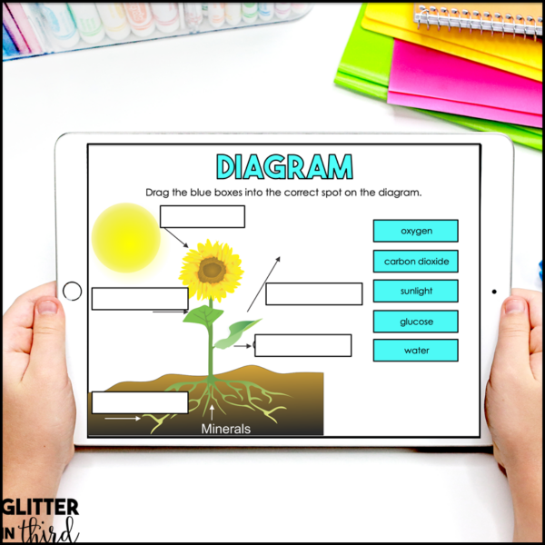 Photosynthesis Activities & Reading Passages for Google Classroom