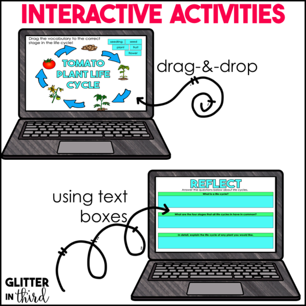 Plant Life Cycles Activities & Reading Passages for Google Classroom