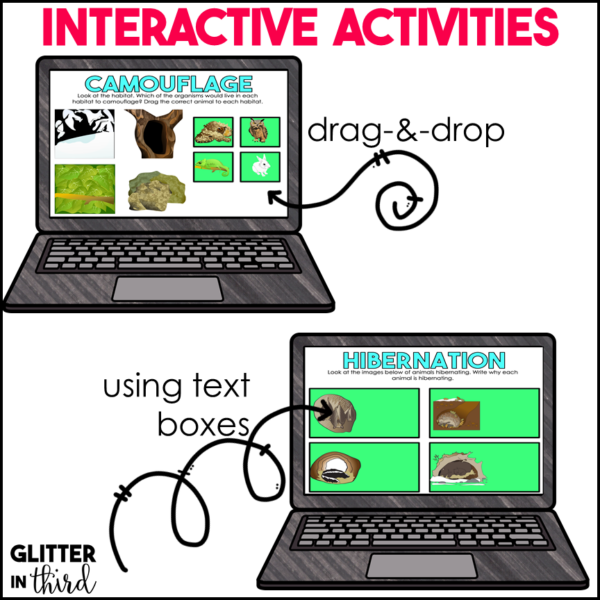 2nd Grade Weather and Seasonal Changes Activities & Reading Passages for Google Classroom