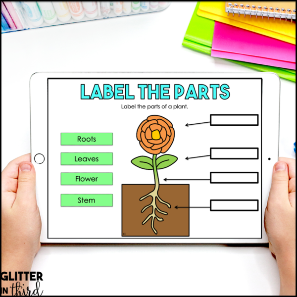 Parts & Structure of a Plant Activities & Reading Passages for Google Classroom