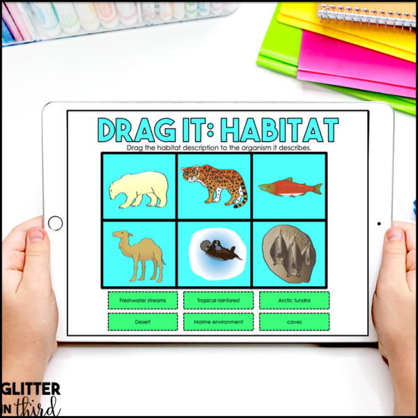 Habitat, Niche, and dichotomous key Activities & Reading Passages for Google Classroom