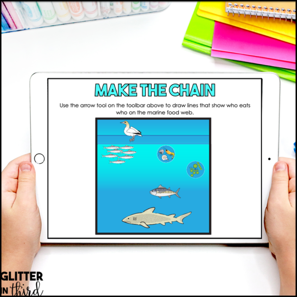 Ocean Animals, Ecosystem, & Marine Food Chain Activities & Reading Passages for Google Classroom