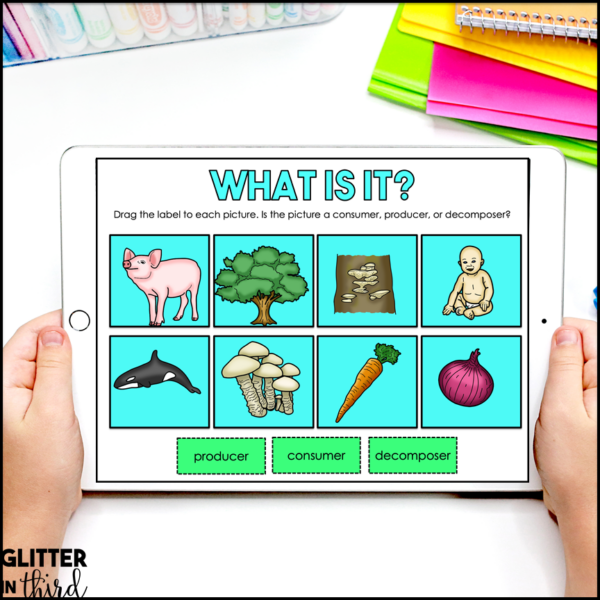 Food Chains Activities & Reading Passages decomposers producers consumers