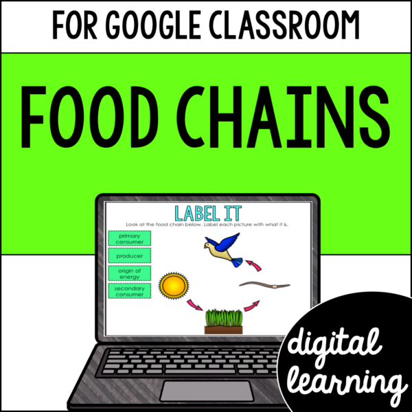 Food Chains Activities & Reading Passages decomposers producers consumers