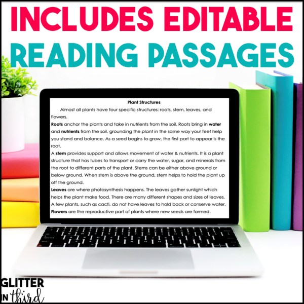 Parts & Structure of a Plant Activities & Reading Passages for Google Classroom