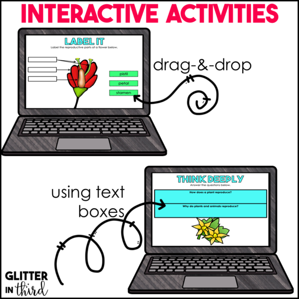 Plant Reproduction Activities & Reading Passages for Google Classroom