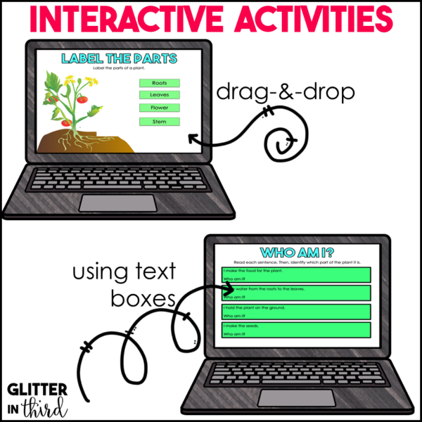 Parts & Structure of a Plant Activities & Reading Passages for Google Classroom - Image 4