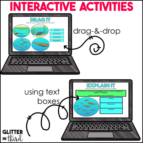 Community, Population, & Ecosystems Activities & Reading Passages for Google Classroom