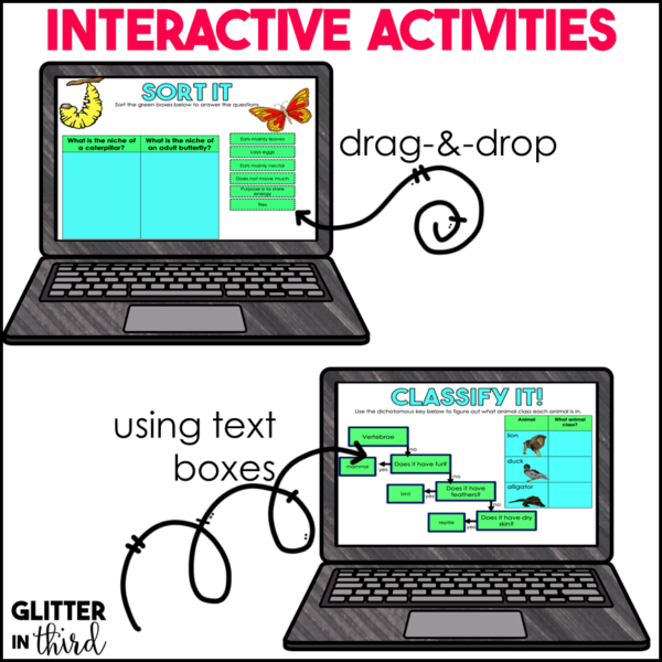 Habitat, Niche, and dichotomous key Activities & Reading Passages for Google Classroom