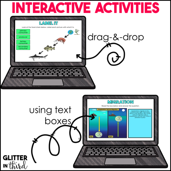 Ocean Animals, Ecosystem, & Marine Food Chain Activities & Reading Passages for Google Classroom