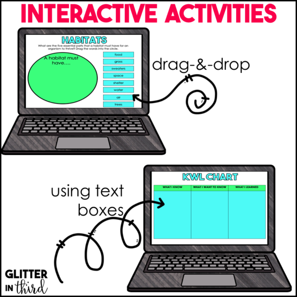 Animal Habitats & Ecosystems Activities & Reading Passages for Google Classroom