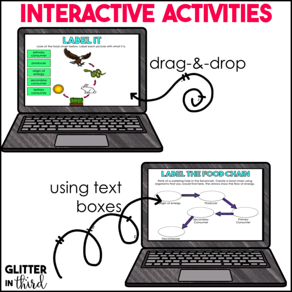 Food Chains Activities & Reading Passages decomposers producers consumers